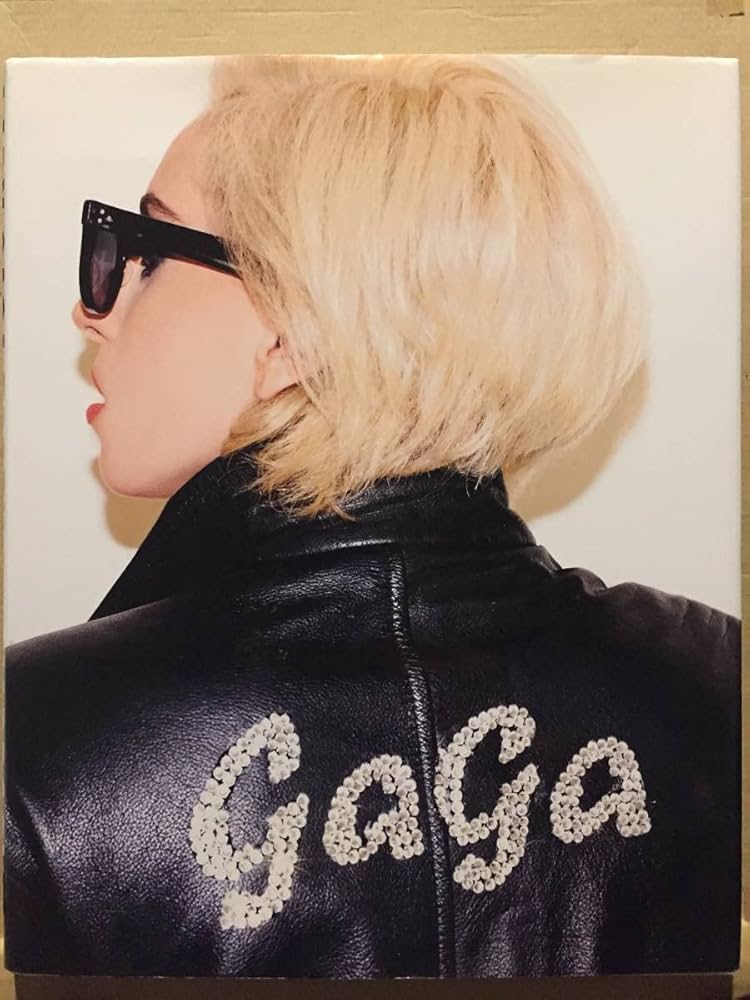 【まとめ売り】レディーガガ　USB テリー・リチャードソン　写真集 レディー・ガガ×テリー・リチャードソン(テリー・リチャードソン